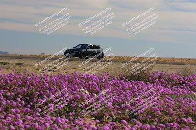 media/Jan-08-2023-SCCA SD (Sun) [[8f6a5b9391]]/Novice Group/Session 2 (Short Straight)/